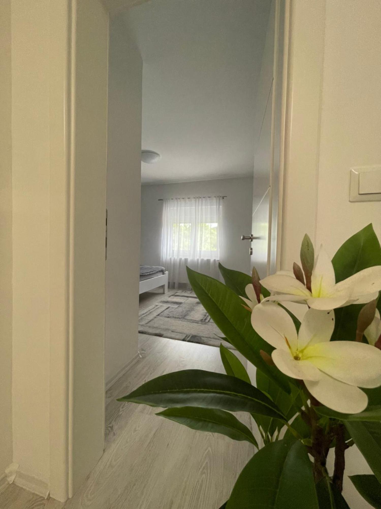 Apartman Kis يايتشه المظهر الخارجي الصورة
